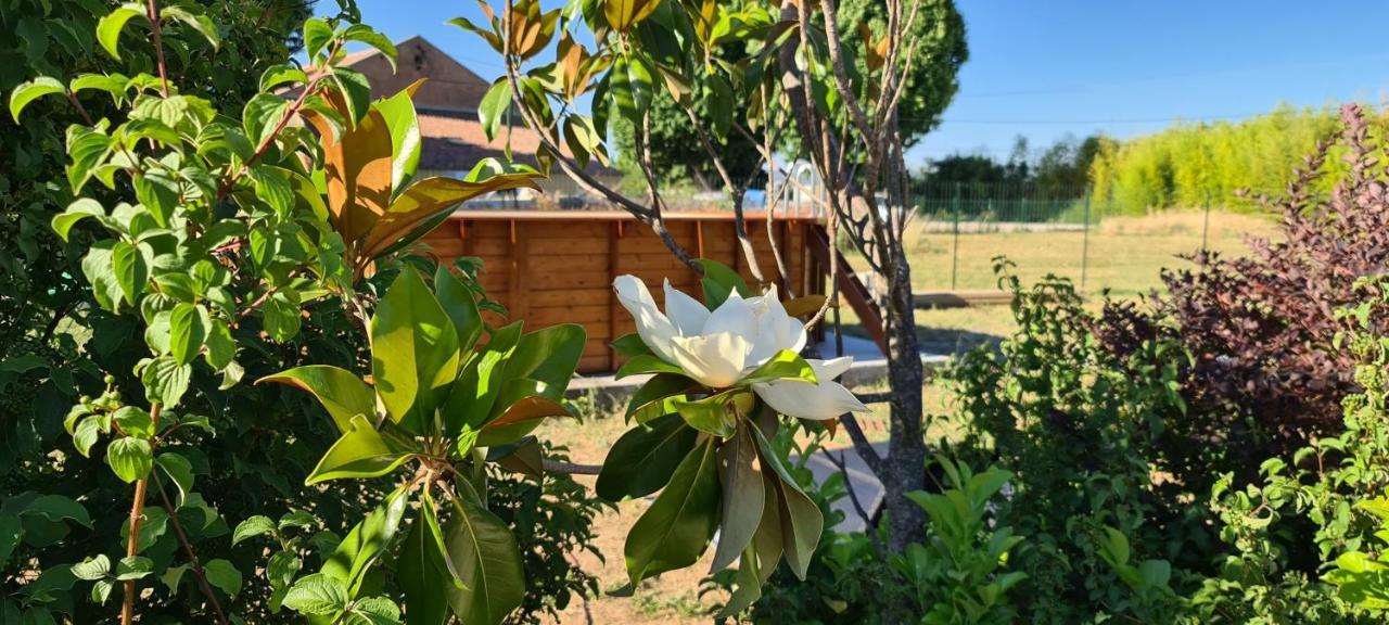Mas Gabelys Superbe Vue Sainte Victoire Jardin Terrasse Et Piscine Διαμέρισμα Trets Εξωτερικό φωτογραφία